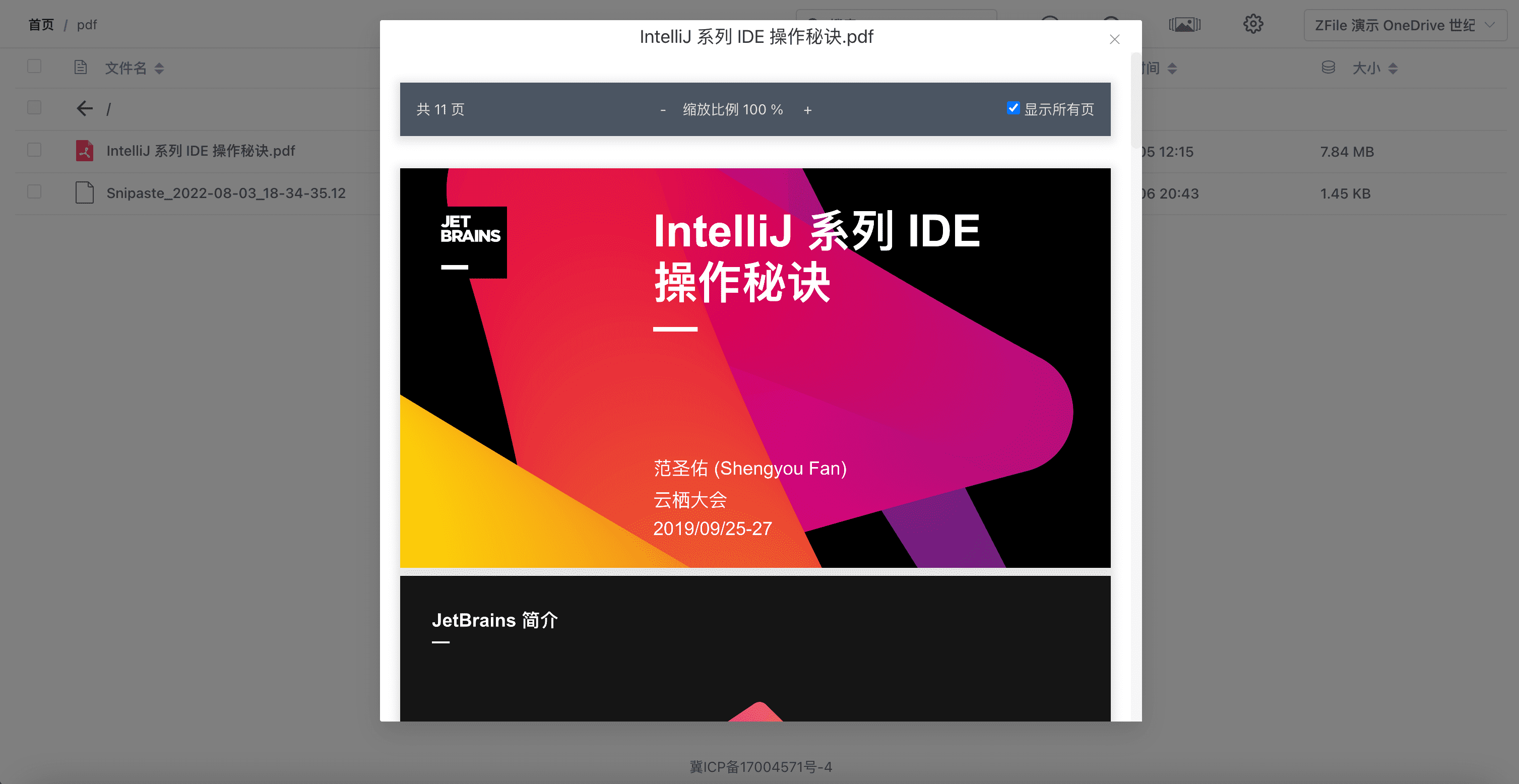 PDF 预览